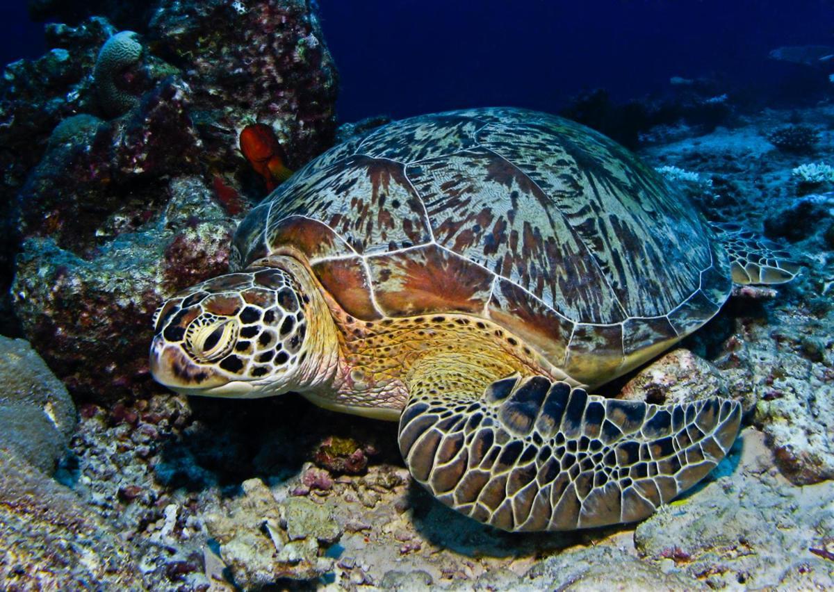 Manta Reserve Maalhos  Εξωτερικό φωτογραφία