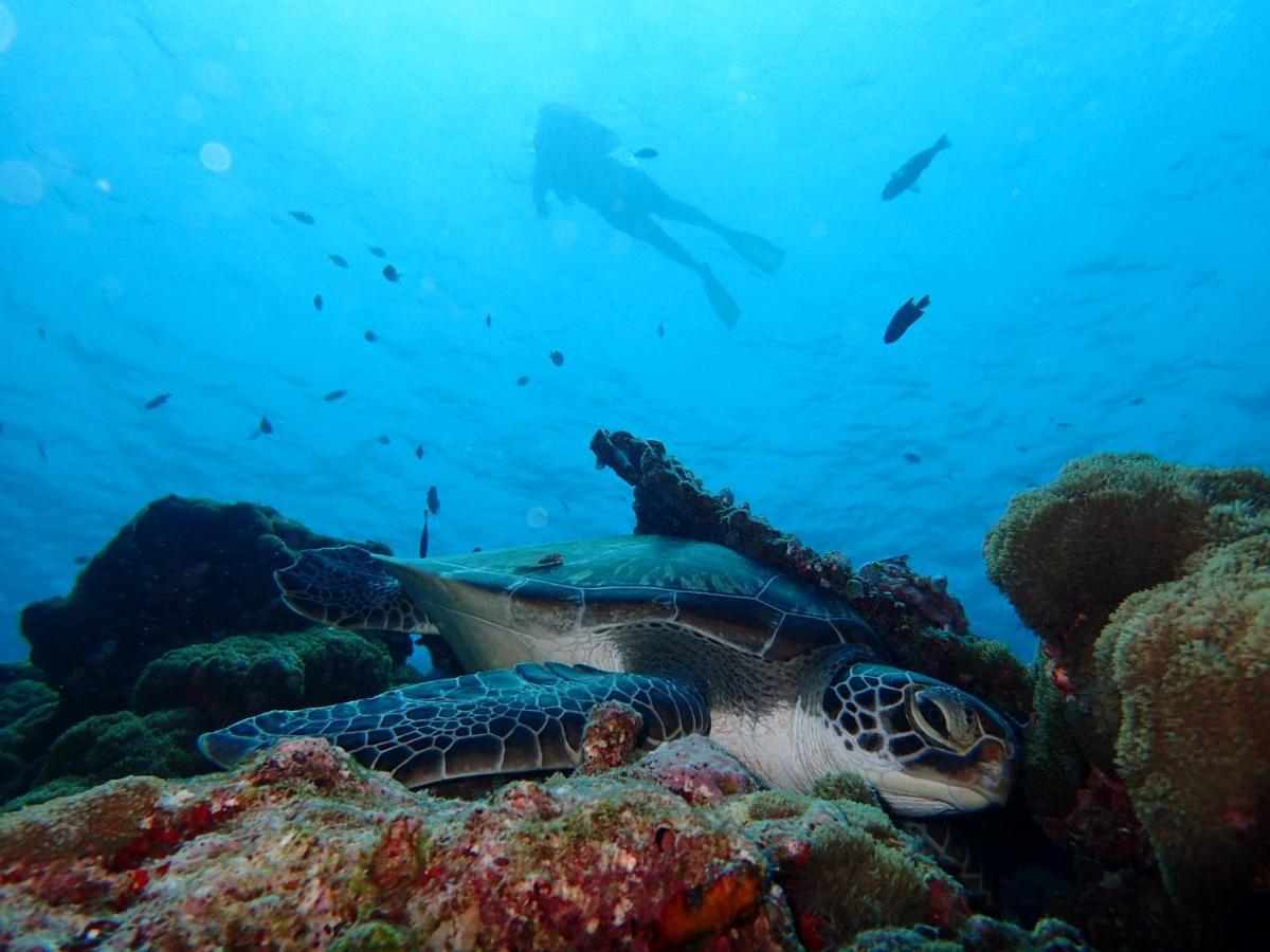 Manta Reserve Maalhos  Εξωτερικό φωτογραφία